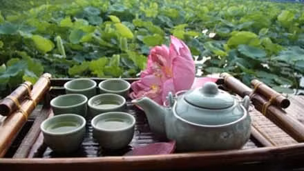 西湖荷花茶是越南河内人的茶叶文化特色。
