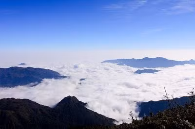 别有风趣的黄连国家公园