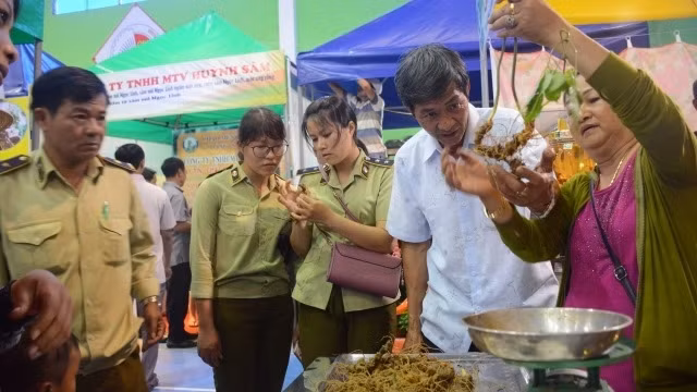 向人民和游客介绍玉玲人参产品。