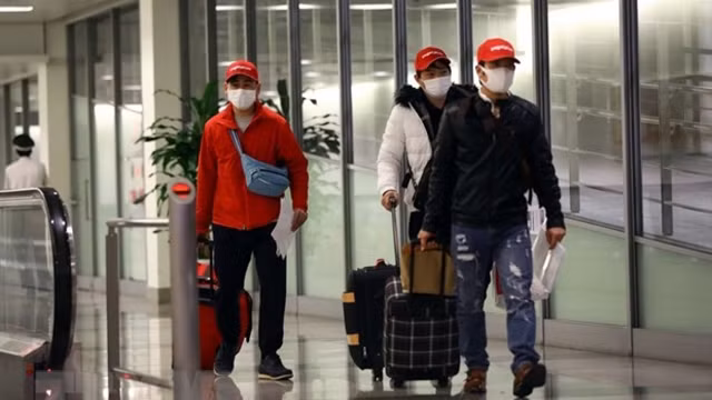 来到越南的国际游客。