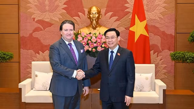 越南国会主席王廷惠会见美国驻越大使马克·埃文斯·纳珀。（维灵 摄）