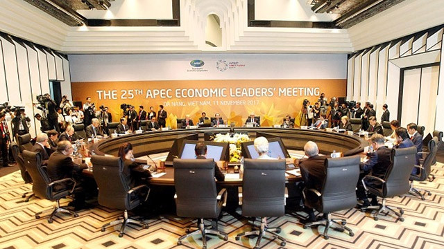 2017年APEC第二十五次领导人非正式会议全景。（图片来源：越通社）