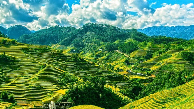 附图：越南西北部梯田。