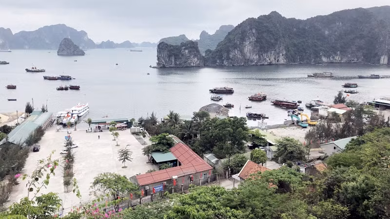 白子龙湾全景。