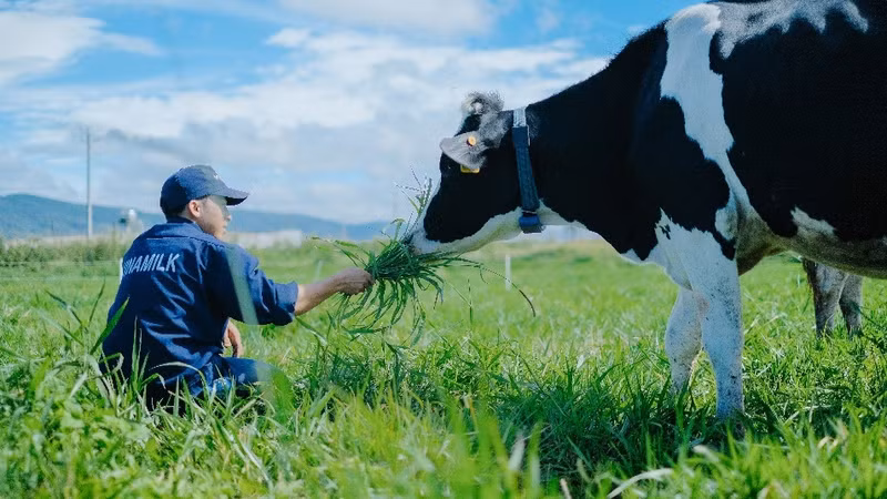 畜牧业是越南经济中的重要产业