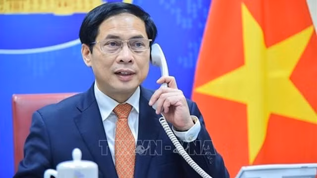 越南外交部长裴青山。（图片来源：越通社）