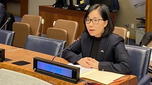 越南驻联合国临时代办阮芳茶大使与会。（图片来源：越通社）