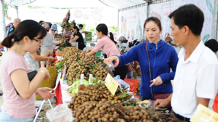 兴安龙眼在农业博览会得到推介。
