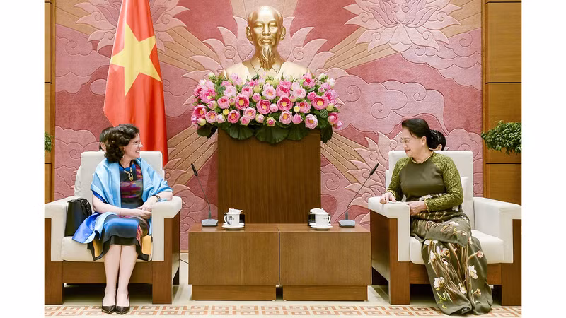 越南国会主席阮氏金银会见古巴驻越南大使利亚尼斯·托雷斯·里维拉。