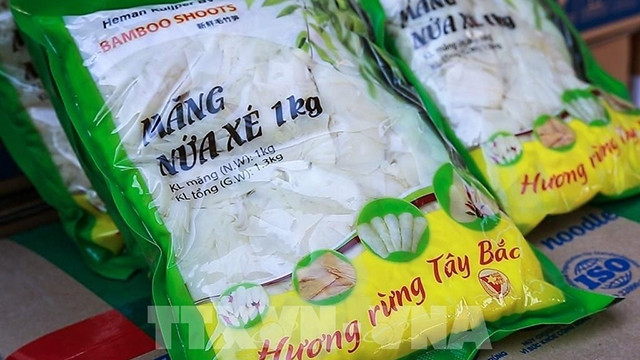 越南和平省向荷兰出口28吨鲜竹笋。（图片来源：越通社）
