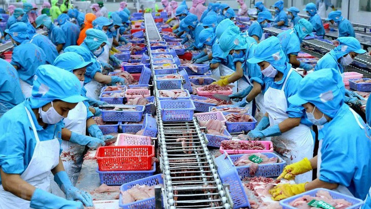 附图：越南水产品加工。