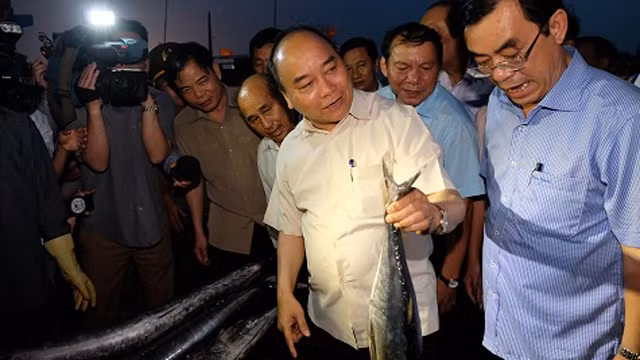 阮春福总理实地检查海鱼质量。
