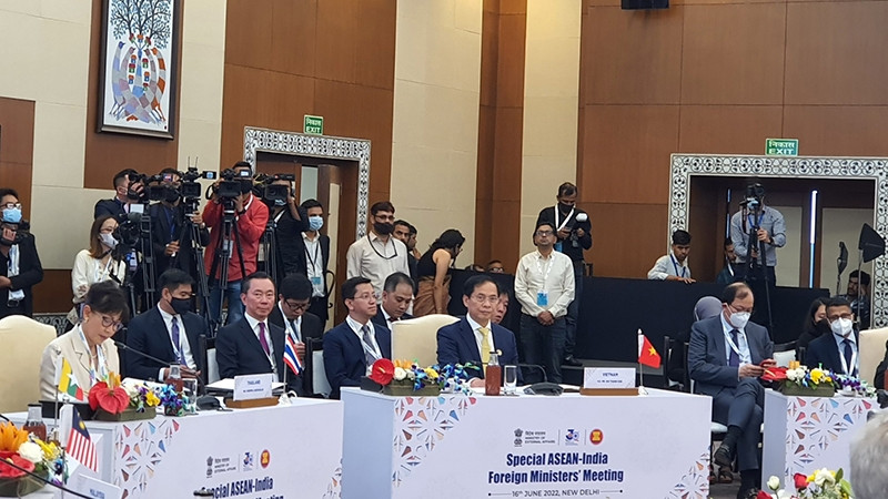 越南代表团出席东盟-印度外长特别会。