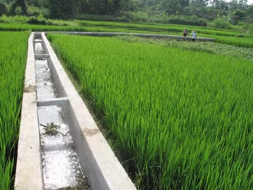 附图：农村许多水渠得到硬化。