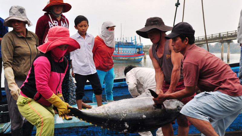 附图：解除IUU“黄牌”：协助渔民进行远海捕捞。