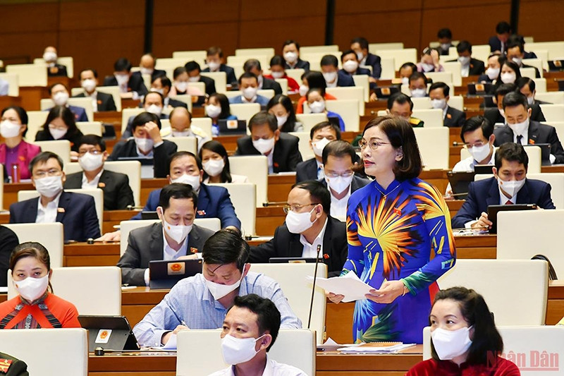 国会代表发表意见。
