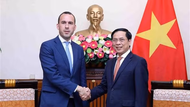 外交部长裴青山礼节性会见意大利副外长曼利奥。（图片来源：越通社）