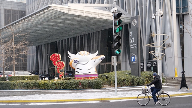 十字路口边上站着的一只老虎。（图片来源：杜微沙 摄）