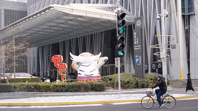 十字路口边上站着的一只老虎。（图片来源：杜微沙 摄）