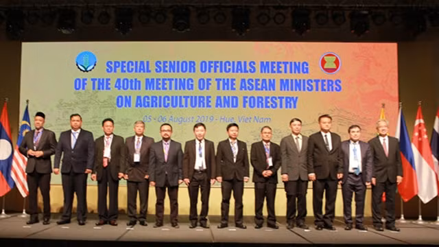 与会代表合影。（图片来源：青年报）