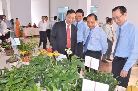 胡志明市领导人参观胡志明市生物技术中心新种植模式。（图片来源：胡志明市门户网站）