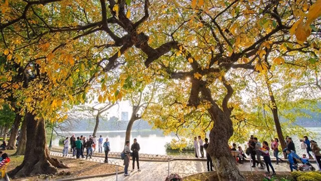 河内秋天美景。