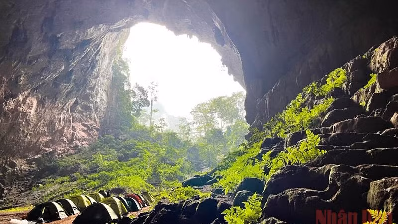 风芽-盖板是2022年值得体验的39个旅游目的地之一。