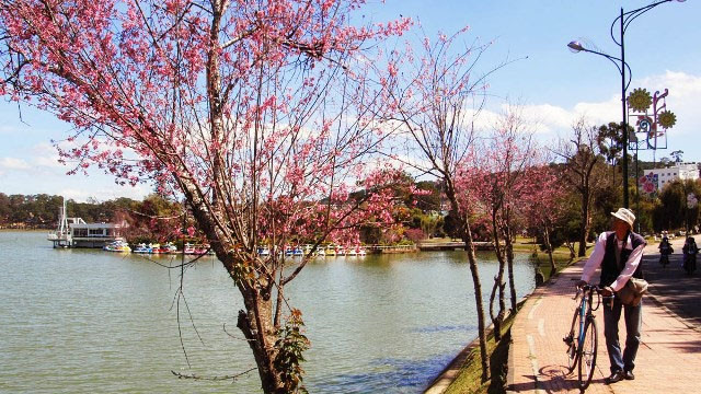 大叻市安详宁静的湖畔。