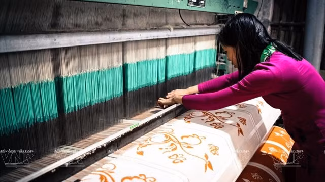 不少家庭已投入使用现代化生产线。