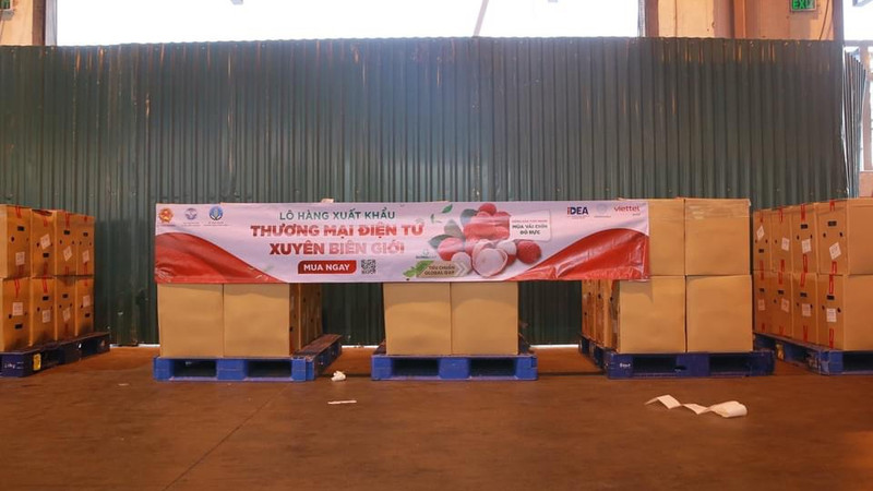 首批荔枝以“跨境电子商务”模式出口到欧洲市场。