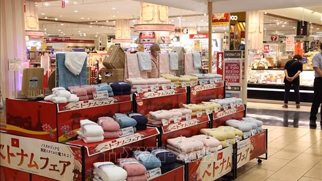 越南展位。（图片来源：图片来源：越通社）