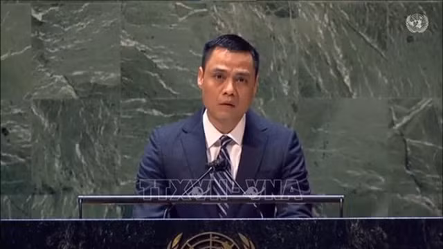 越南驻联合国代表团团长邓黄江。