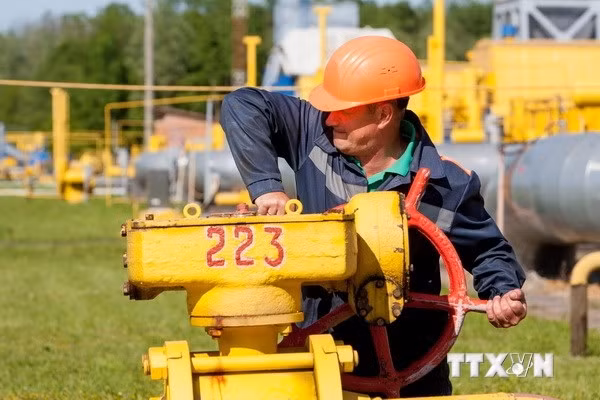 图片来源：越通社