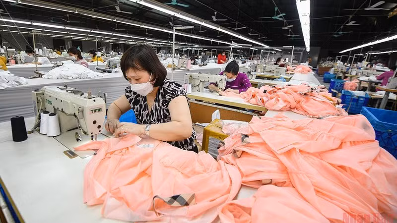 附图。（成达 摄）