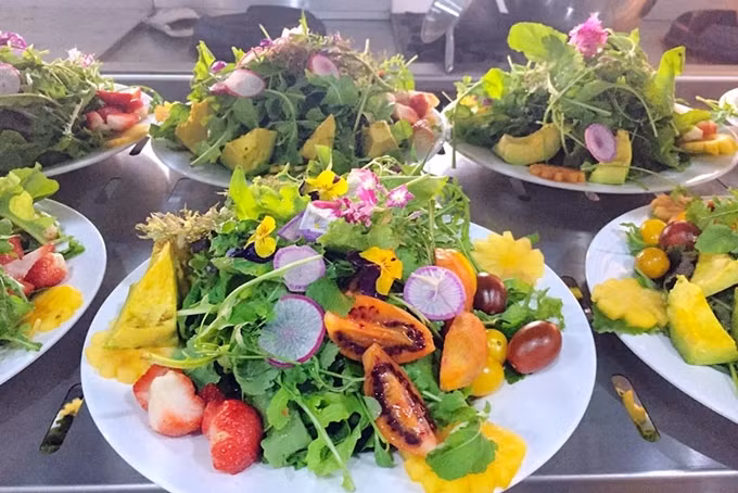 以大叻市蔬菜及鲜花为食料的菜。（图片来源：VGP）