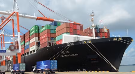 新集装箱码头迎来首艘巨型集装箱船。