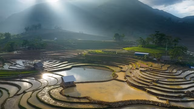 越南北部山区田梯美景。