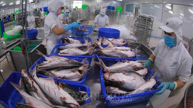 附图：2022年前6个月越南农林水产品出口额达278.8亿美元。