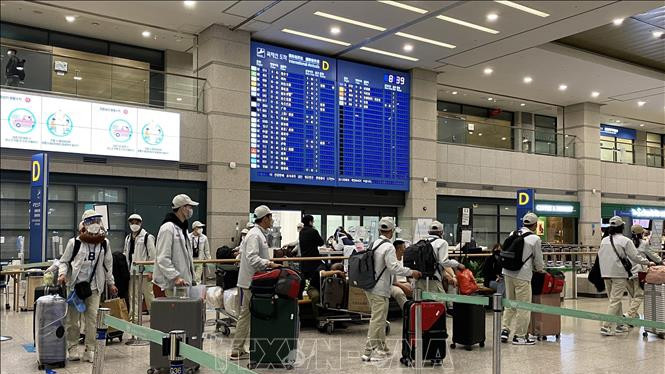 附图。