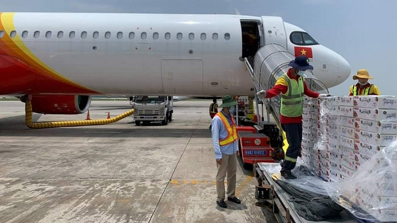 越捷携手加大荔枝在国内外市场的出口与销售力度。