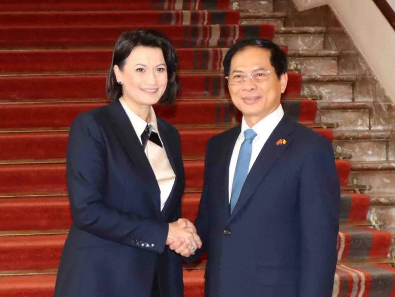越南外交部长裴青山会见比利时参议院议长斯蒂芬妮·德霍斯。