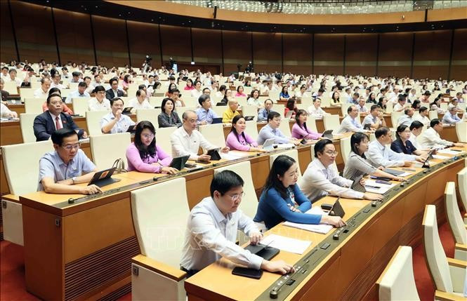 国会代表进行投票。