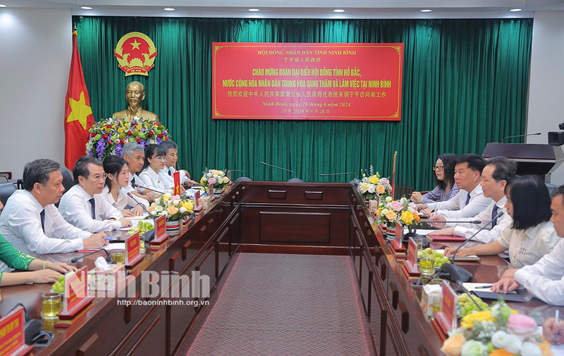 宁平省人民议会常务副主席裴黄河会见刘晓鸣副主任一行。（图片来源：越通社）
