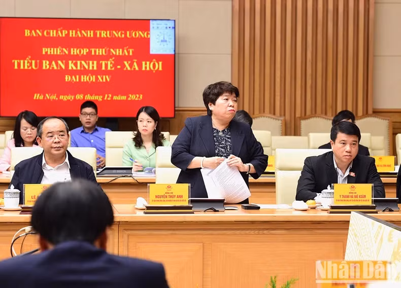 国会社会委员会主任阮翠英作报告。