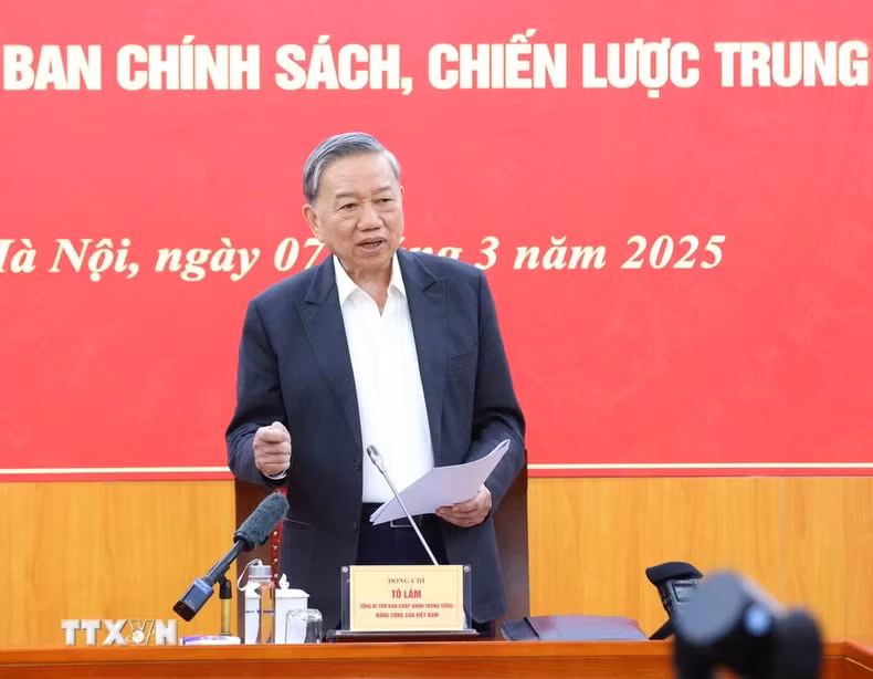 苏林总书记：制定符合经济发展水平的私营经济发展战略