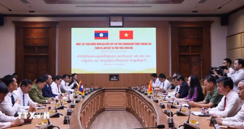 工作会议场景。