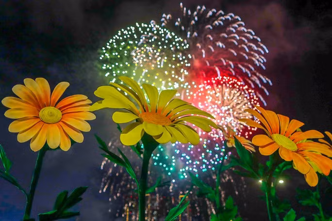 2023年九·二国庆节烟花表演一幕。