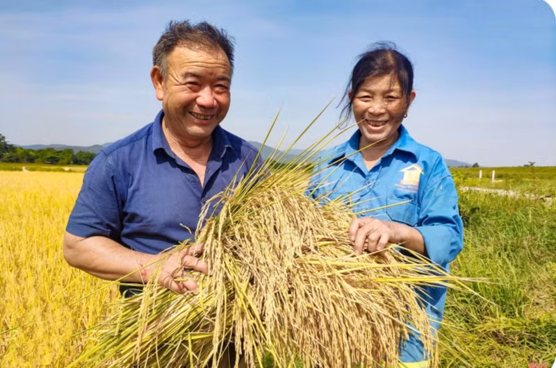 水稻+禾虫种养模式有助于推广有机农产品地价值。