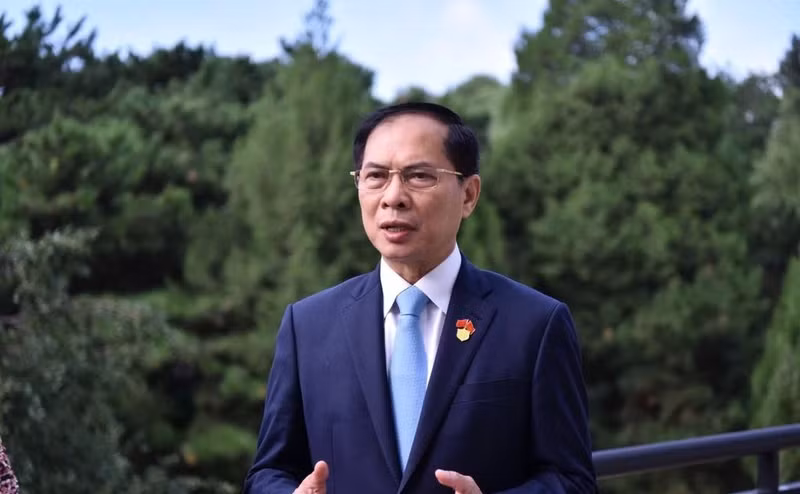 越南外交部长裴青山就访问成果接受了新闻媒体记者的采访。