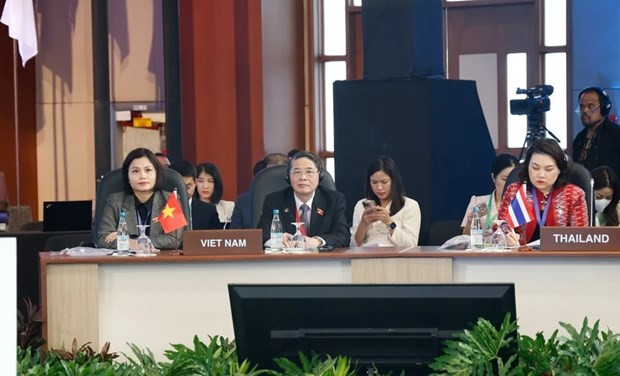 越南国会副主席阮德海在会议上发表重要讲话。